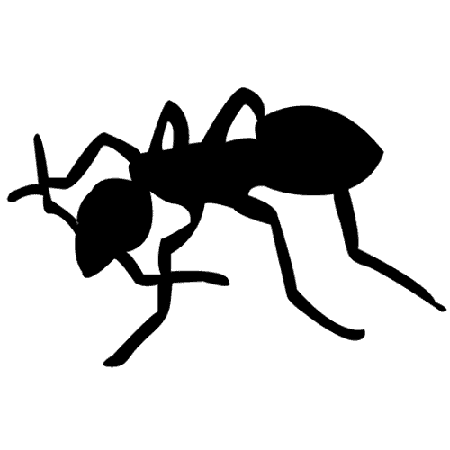 ant icon
